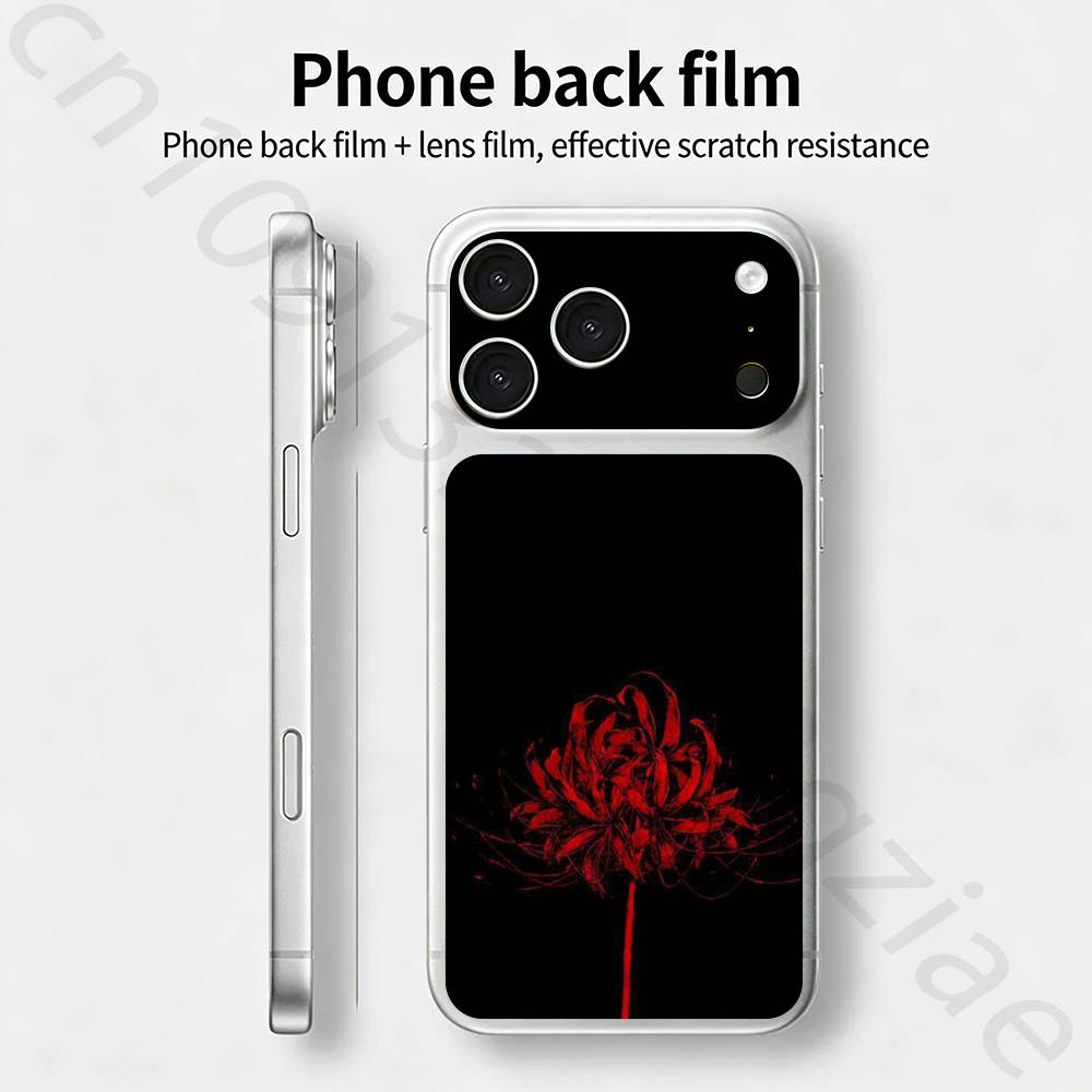 Радужное Иллюстративное Искусство БИЛЕТ Наклейка Обложка для iPhone 17 Pro/Pro max Защитная Пленка для Задней Панели, Рамки, Камеры