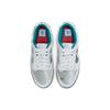 Nike Женские кроссовки Dunk Low Ice Silver Grey-Fog Photon-Dust DO2326-001