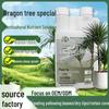 Dragon Blood Tree & Golden Dragon Beard Fertilizer: Black Leaf Solution and Potted Plant Nutrient