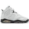 Jordan 6 Ретро Аллигатор GS 384665-110