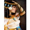 DIY Diamond Painting Cross Stitch Diamond Embroidery Needlework Cleopatra and Serpent Wall Arts