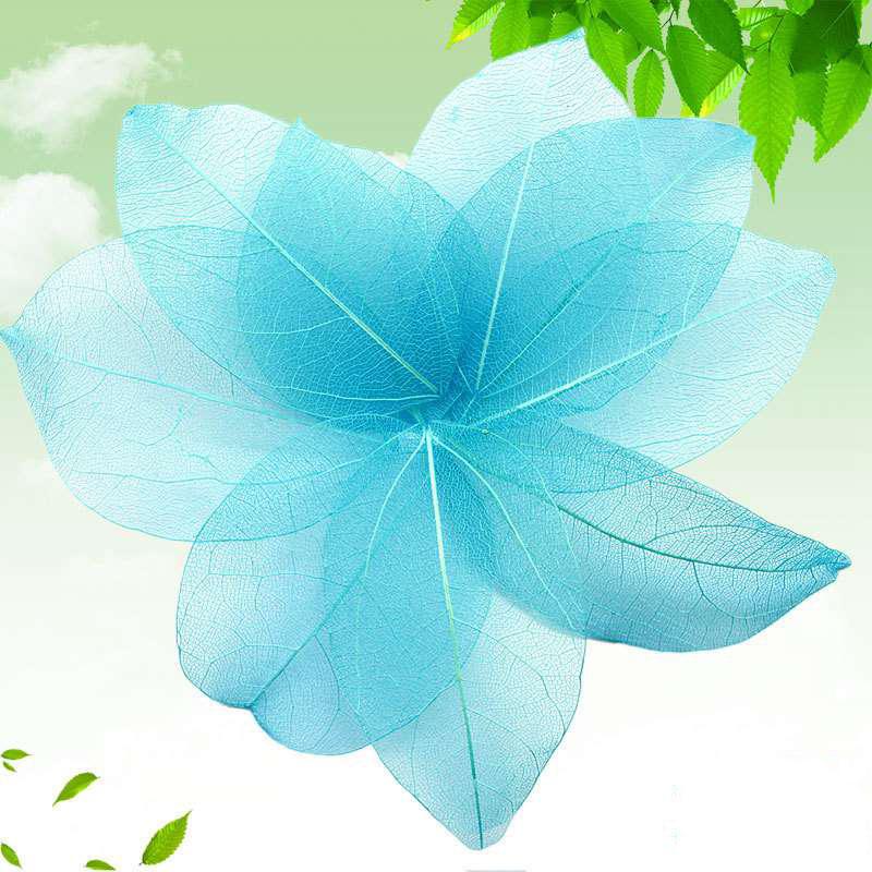 Тиснение 30 шт. Сухоцветы Чехол для телефона DIY Орнамент Аксессуары Ручная работа Материал Натуральный Алмаз Вены Изготовление Тиснение