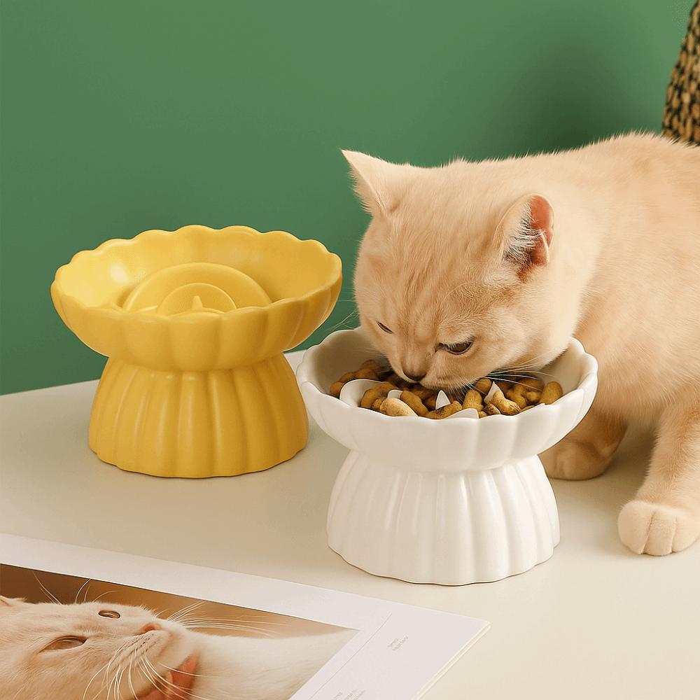 Anti-gulping Cat Food Bowl Anti Swallowing Pet Feeder Slow Feed Bowl  For Cats Small Dogs