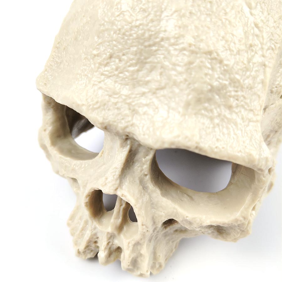 1 Set Resin Skull Aquarium Decor – Fish, Shrimp & Reptile Breeding Cave with Built-in Bubbler Stone for Oxygenation | Halloween Fish Tank Ornament