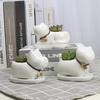 White Porcelain Animal Flowerpots with Trays– Elegant Succulent & Green Plant Pots for Home & Office