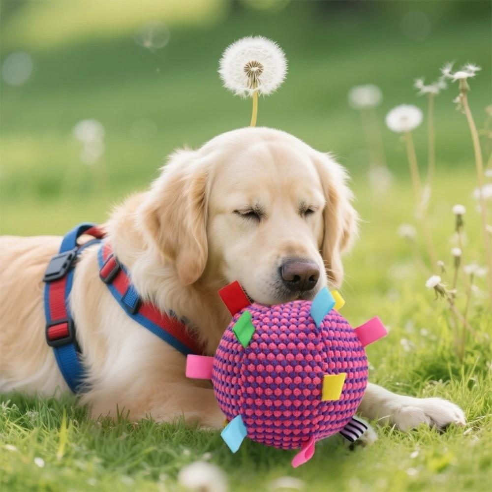Bite-resistant Plush Dog Vocal Toy Ball Creative Pet Shake Sound Toy Grinding Teeth
