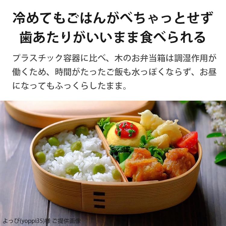 Fujishiro Kogei Magewappa Овальная коробка для бенто Cat с японской отделкой (900мл (натуральный) Кошка)