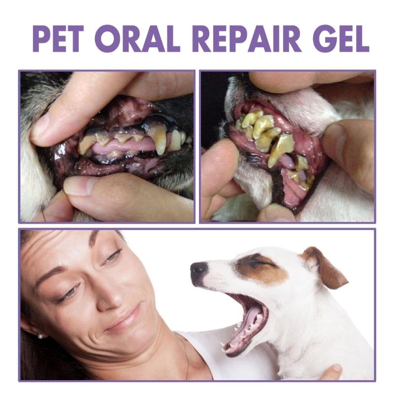 Профессиональный гель Pet OralRepair для глубокой чистки зубов Собака Оральное здоровье Восстанавливающий гель Мягкая формула Дезодорация полости рта