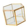 Glass Geometric Terrarium Succulent Plant Planter Hexagon Holder Jewelry Display Container for Wedding Decoration Events