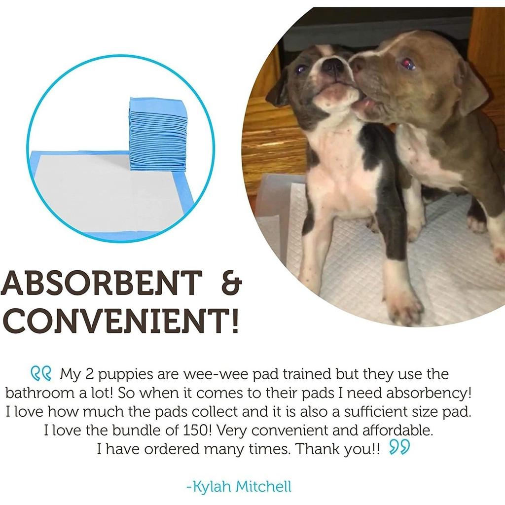 50/100-Pack: Puppy Pads Dog Pee Pad for Potty Training Dogs & Cats Pet Diapers