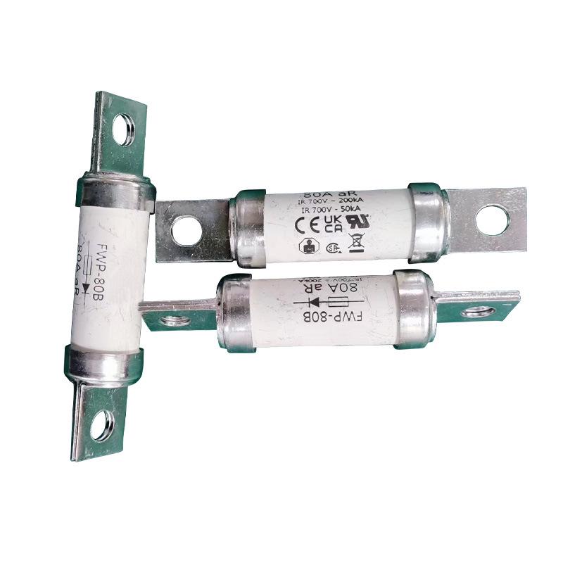 FWP Series Electronic Components: FWP-80B, FWP-90B, FWP-100B Fuse