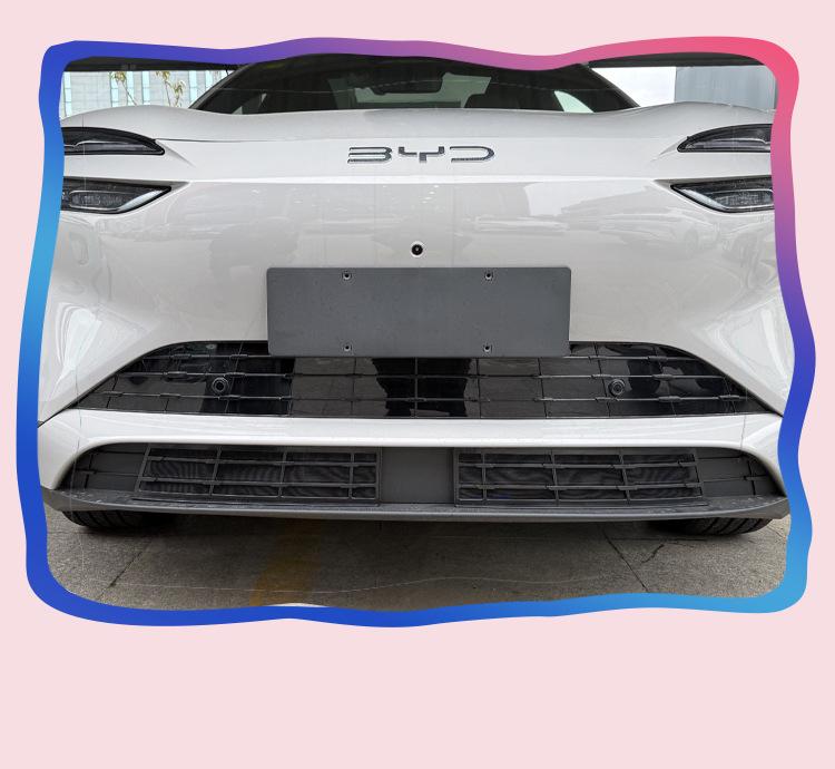 BYD Sea Lion 06 Съемная передняя решетка Защитная сетка от насекомых