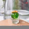 Фигурки кактусов из муранского стекла ручной работы, украшения для рабочего стола, креативное красочное милое миниатюрное растение для домашнего декора