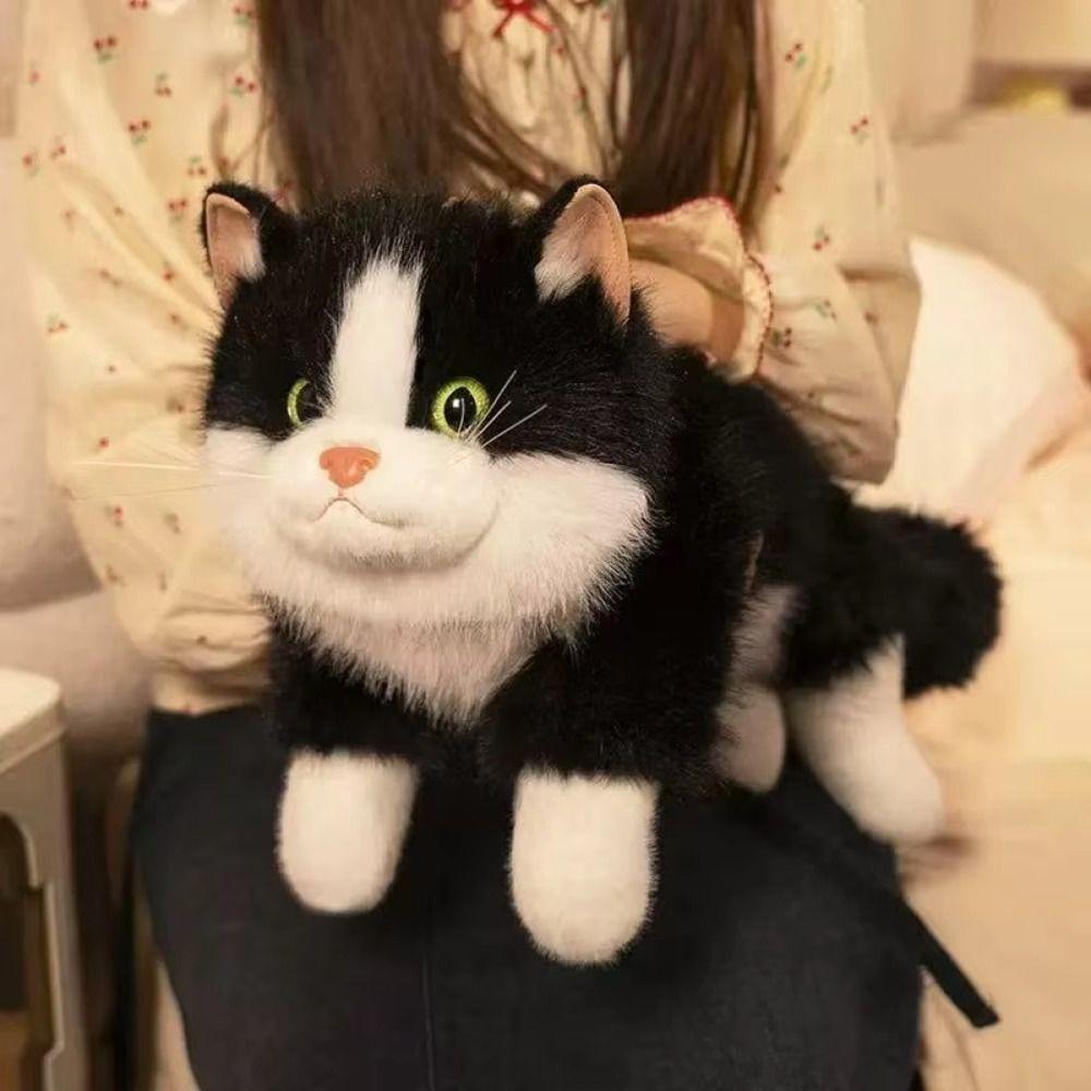 Пушистая плюшевая кукла кошка рэгдолл, озвученная модель котенка, новая реалистичная кукла кошка, для детей
