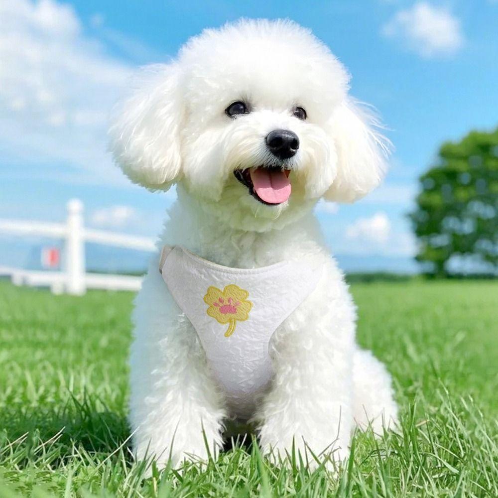 Adjustable Cat Dog Harness Breathable Dog Undershirt Chest Strap  for Medium Large Dog