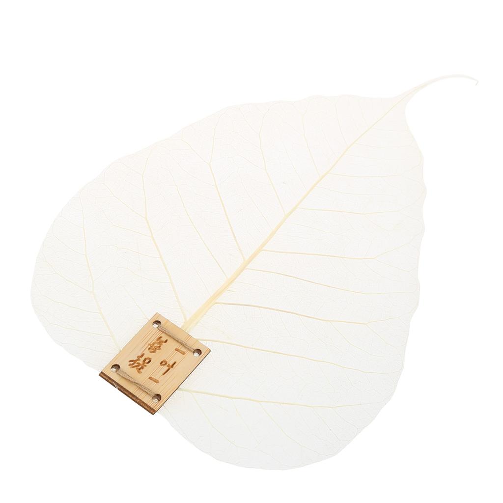 Натуральный чайный фильтр с листьями Bodhis, сетка для чая, ситечко для заварки, чайная посуда, аксессуары для утечки чая для кунг-фу, травы, специи