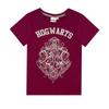 HARRY POTTER Пижамный комплект с блестками и гербом Хогвартса для девочек