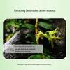 DR PLANT Dendrobium Candidum Fresh Skin Essence Water