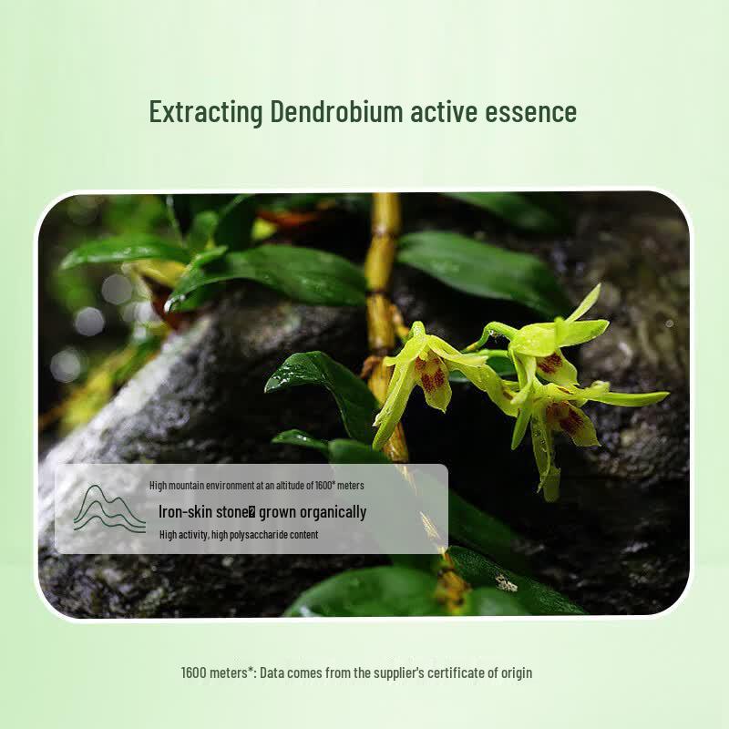 DR PLANT Dendrobium Candidum Fresh Skin Essence Water