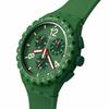 Watch PRIMARY GREEN SUSG407 Green [Swatch]