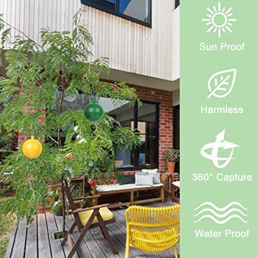 10 упаковок флайбола, прочный клей, непромокаемый, солнцезащитный, легко ловит насекомых, грибковые комары, фруктовые ловушки для мух