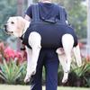Adjusting Dog Walking Legs Support Slings for Dog Injuries Joint Recovery Tool