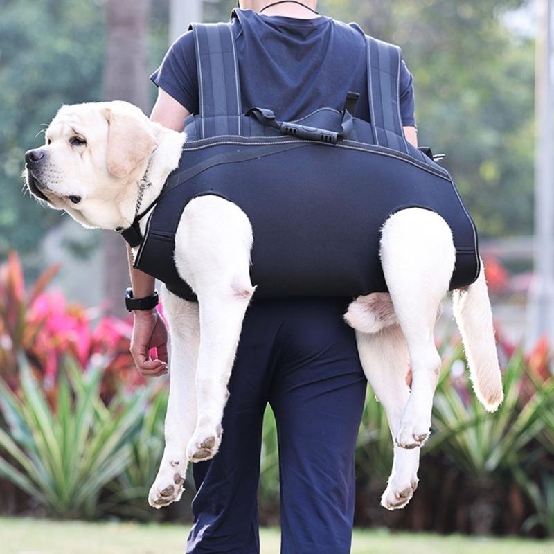 Adjusting Dog Walking Legs Support Slings for Dog Injuries Joint Recovery Tool