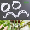 Garden Plant Tomato Vine Pepper Support Clip Plastic Hanging Farming
