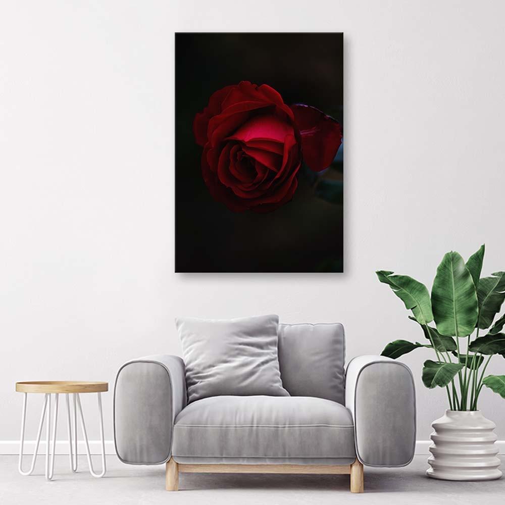 Canvas print, Rose on black background