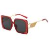 New Large Frame High-End Metallic European And American Style Sunglasses For Women(Ds-23037)