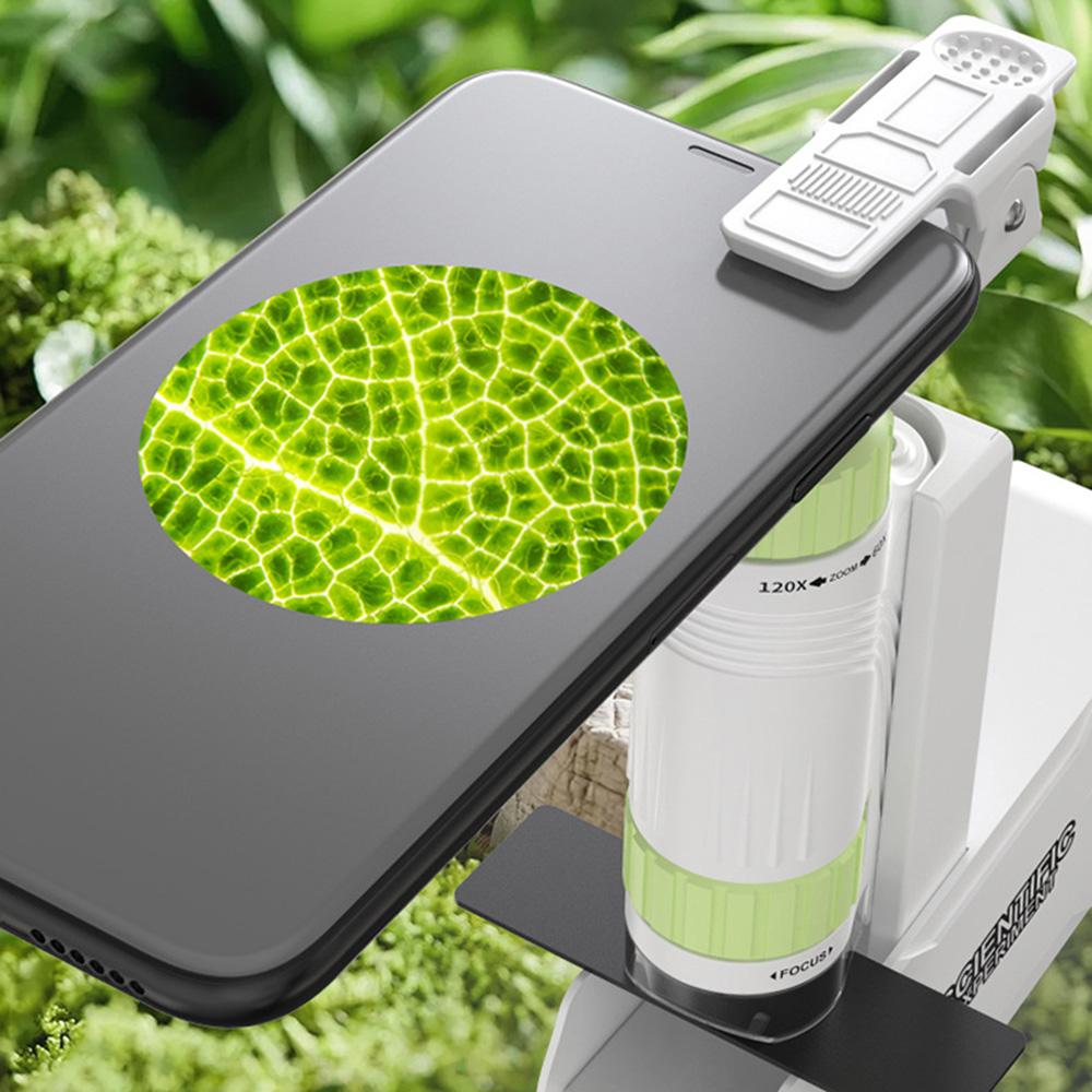 Detachable Portable Handheld Microscope Toy 60x-120x Mini Microscope for Kids Outdoor
