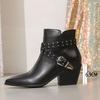Eilyken Winter Design Western Women Ankle Boots Fashion Rivet Belt Buckle Pointed Toe Square Low Heels Zipper Shoes