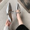 Coarse Heel Mary Jane Shoes Spring and Autumn Shoes New Pointed Small Leather Shoes Evening Silver Single Shoes Women