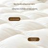 Premium 95% White Goose Down Winter Duvet