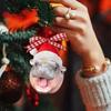 Pygmy Hippo Hippopotamus Hanging Pendant Cartoon Car Haning Pendants  Holiday