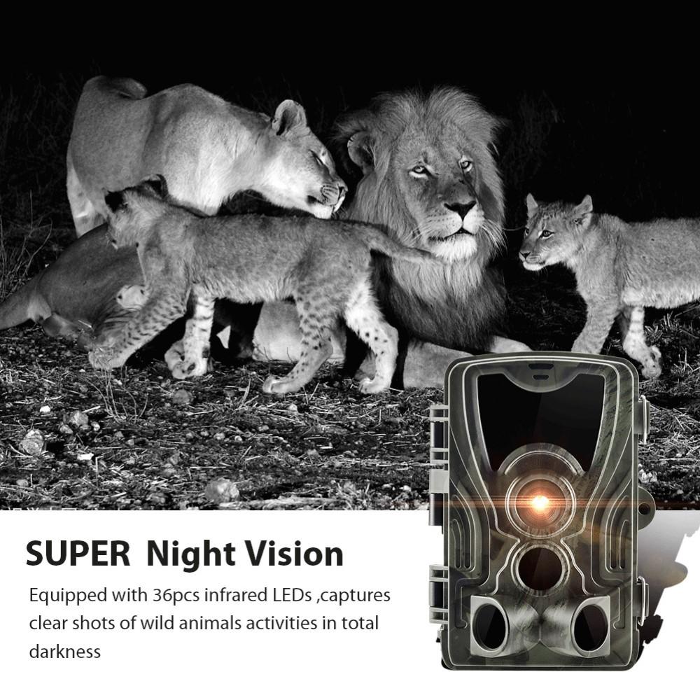 Hc801a Охотничья тропа Камера 20 Мп 1080p 940 нм Инфракрасное ночное видение IP65 Активация движения дикой природы 0,3 с Триггер Po Ловушка