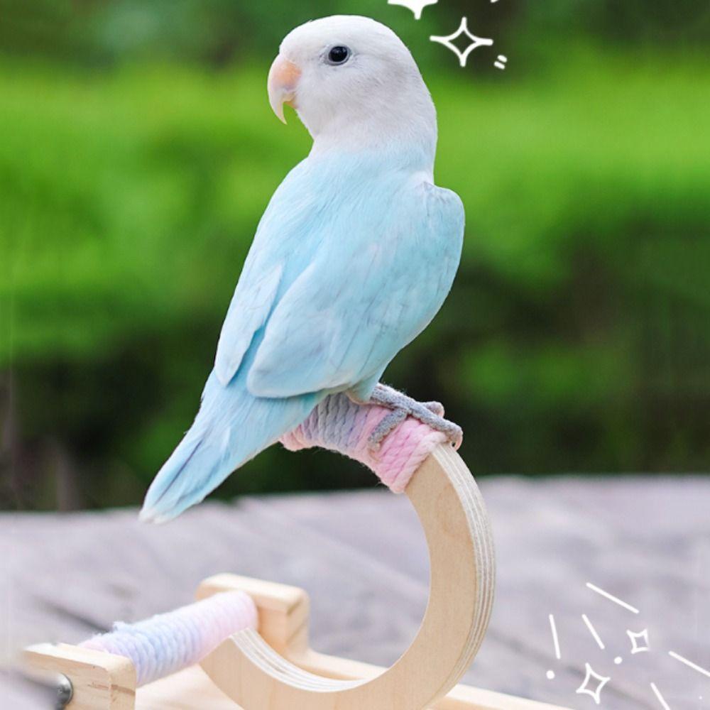 Wear-resistant Parrot Perch Stand Wooden Bird Training Stand Rocking Parakeet Toy  Relieve boredom