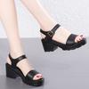 High Heels Gladiator Sandals Woman Open Head Sexy Block Heel Platform Shoes Summer Buckle Size Women Sandals