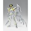 TAMASHII NATIONS Saint Seiya Myth Cloth EX Saint Seiya Pegasus Seiya Approximately 170mm PVC ABS Diecast Painted Movable Figure (God Cloth) & &