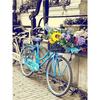 DIY 5D Diamond Painting Flower Bicycle Diamond Embroidery Cross Stitch Full Round Mosaic Rhinestones