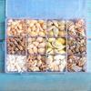 Shell conch, popular science materials, specimens, snail storage set, gift box, kindergarten marine life collection