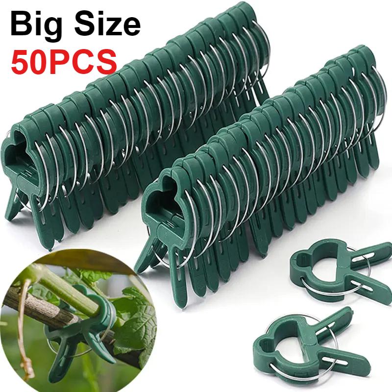 50 шт. фиксированных зажимов для растений, многоразовый зажим для садовой теплицы, кронштейн для фиксированных растений, инструментов для поддержки стеблей саженцев виноградной лозы