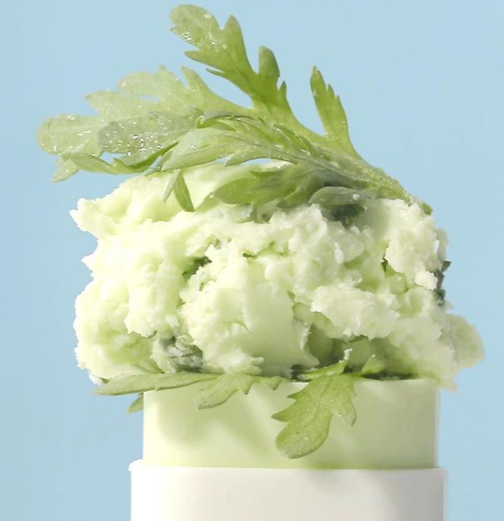 Beauty of Joseon Матирующий солнцезащитный стик с полынью SPF50+ PA++++ – 18 г