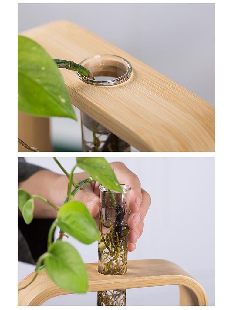 Nan Bamboo Glass Vase: Modern Minimalist Hydroponic Plant Container for Home, Office, Desk, or Wall Decor.