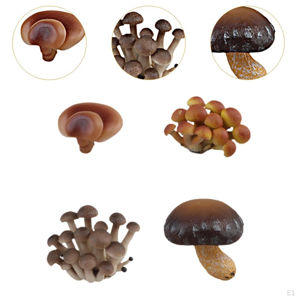 Children's Mushroom Development Stages Toy Set for Interactive Learning