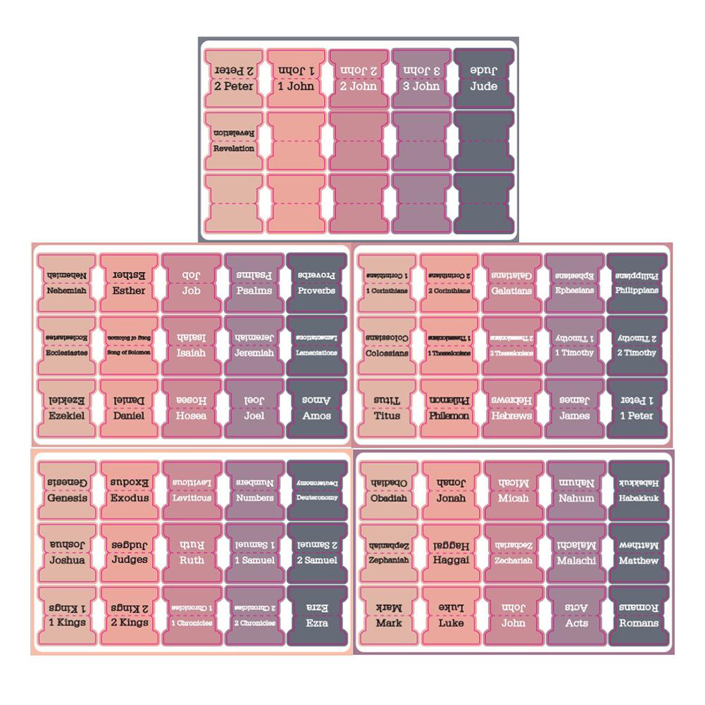 5/6 листов Библейский индекс Этикетка Наклейка Самоклеящиеся бумажные вкладки Библейский индекс Вкладки для изучения Читать Закладки Наклейки Инструмент для изучения
