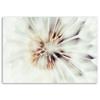 Canvas print, Close-up on a blowfish