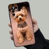 Yorkie Yorkshire Terrier Case For Samsung Galaxy A54 A53 A52 A34 A32 A72 A13 A23 A14 A33 A12 A22 A71 A51 Phone Cover