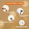 LED Night Light, 1W