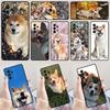 Забавный милый пес Акита чехол для телефона Для Samsung Galaxy A42 A31 A40 A51 A71 A32 A80 A91 A52 A72 A73 A20e A21S A50 A70 A11 A12 Чехол